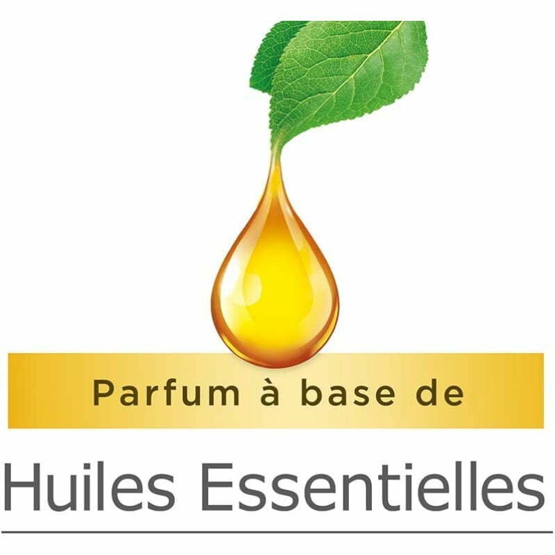 AIR WICK FRESHMATIC Huiles Essentielles Bois d'Ebène et Vanille – Image 3