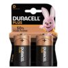 Duracell Plus R20 D2