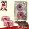 KLERAT RATICIDE X2 BLOCS