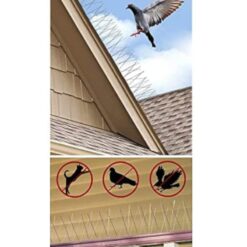 Alternative view of Pics Anti pigeon 1m