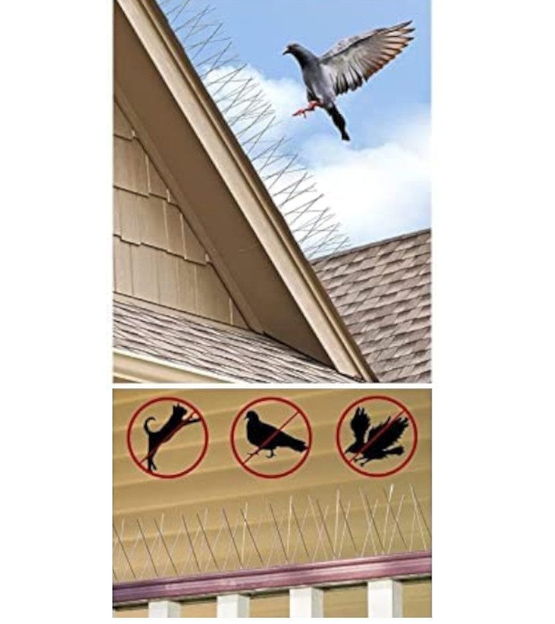Pics Anti pigeon 1m – Image 2