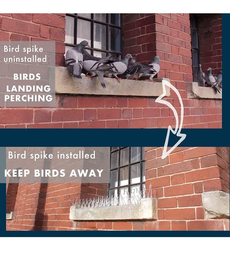 Pics Anti pigeon 1m – Image 3