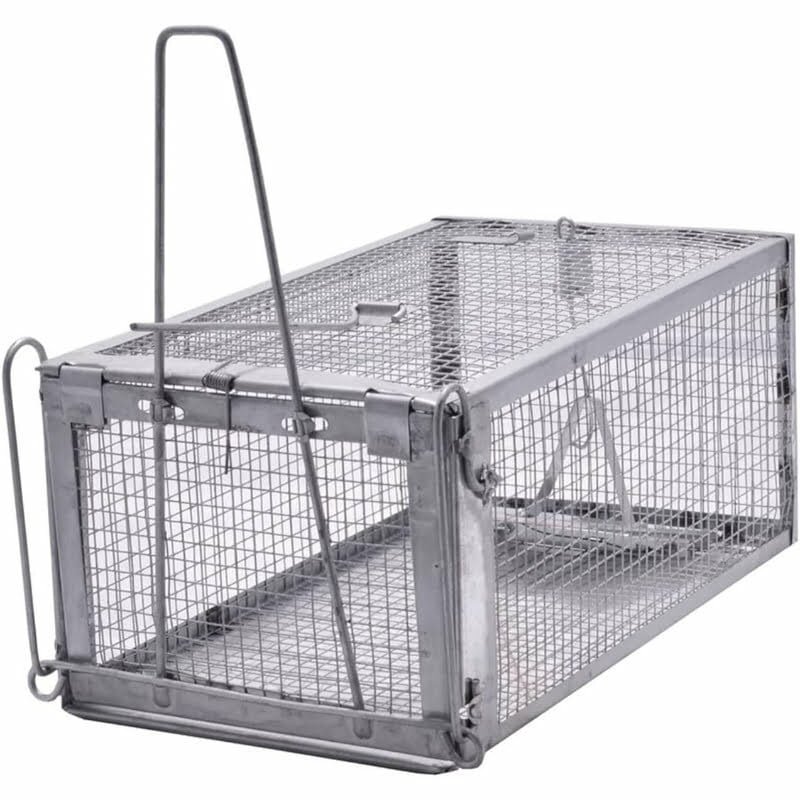 Piège à rats (cage) – Image 2