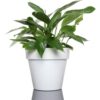 Pot de fleur en plastique Ø20cm