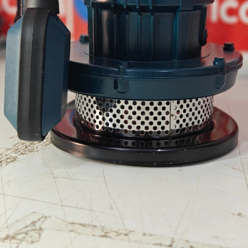 Pompe Submersible 750W HONESTPRO YAE4640 – Image 3