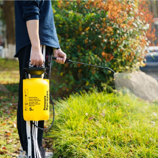 Pulvérisateur manuel professionnel 5L DINGQI