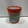 Magiclean sel régénérant 1Kg