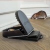 Piège Attrape Souris et Rat en PVC