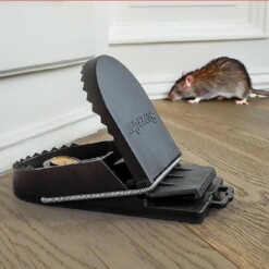 Piège Attrape Souris et Rat en PVC
