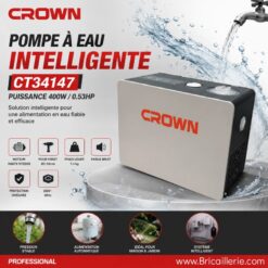 Pompe à eau intelligente silencieuse CROWN 400W/0.53HP CT35147