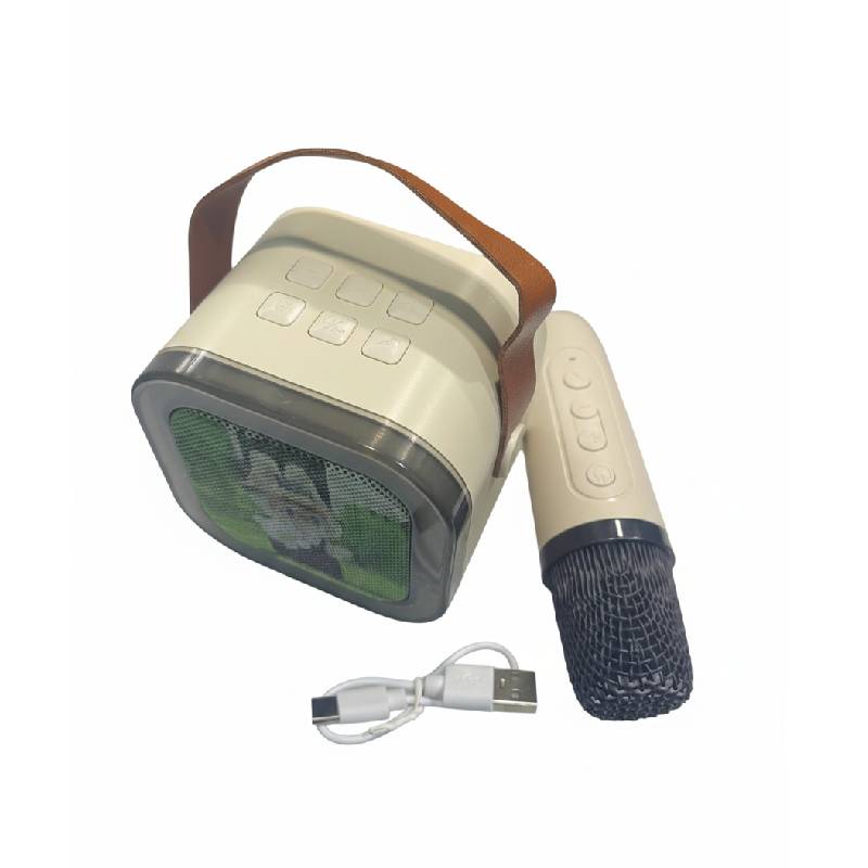 Karaoké portable Bluetooth avec microphone sans fil – Image 4