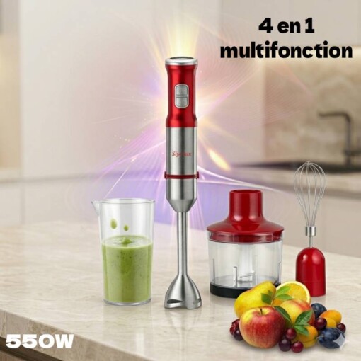 Bras Mixeur 4en1 Multifonction 550W 700ml