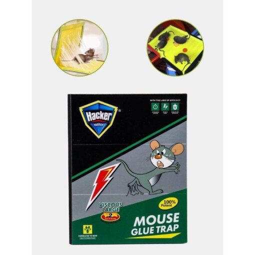 Piège colle à souris à rat HACKER