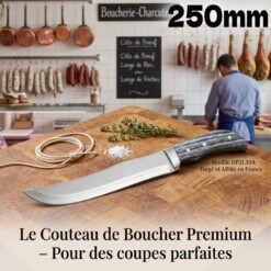 Couteau Boucher HP2110A 250mm