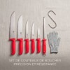 Ensemble 5 Couteaux à Viande + Accessoires (Crochet, Aiguiseur, Gant)