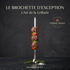 Tiges Brochette de viande Plates Inox 6PCS 40cm