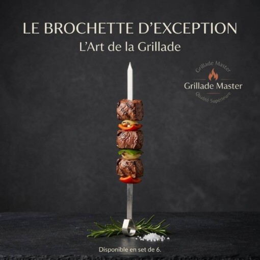 Tiges Brochette de viande Plates Inox 6PCS 40cm