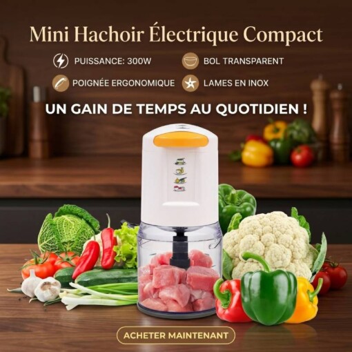 Hachoir électrique à Légumes à Viande 300W 200g