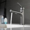 Mitigeur Robinet de Cuisine Coulissant Gris 3 Modes TCW