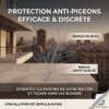 Pics à Pigeons 50cm 2PCS