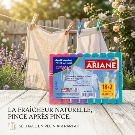 Pinces à Linge 18+2 ARIANE PL116