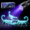 Torche Ultra Violet Détecteur de Scorpion 51 LED