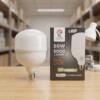 Lampe LED Lumière Blanche 50W