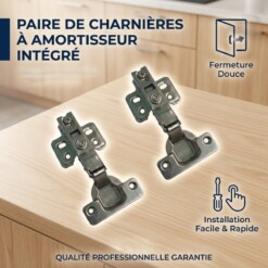 Paumelle Charnières invisible 2PCS
