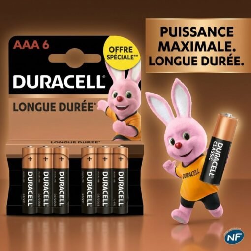 Piles ALKALINE 1.5V AAA 6pcs DURACELL