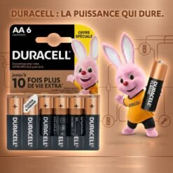 Piles ALKALINE 1.5V AA 6pcs DURACELL LR6