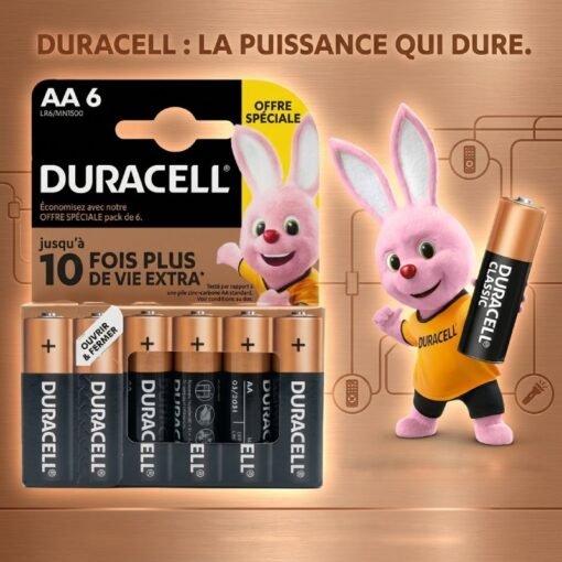 Piles ALKALINE 1.5V AA 6pcs DURACELL LR6