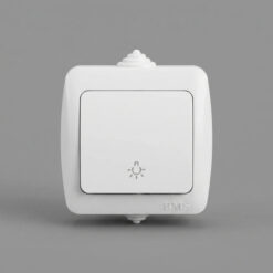 Interrupteur Apparente Bouton Poussoir BMS