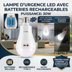 Lampe LED Rechargeable TYPE-C 30W Z-728