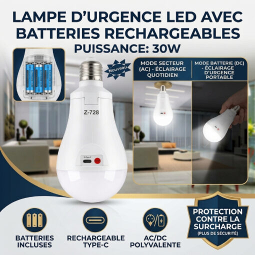 Lampe LED Rechargeable TYPE-C 30W Z-728