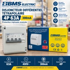 Disjoncteur Différentiel Tétrapolaire 4P 63A 300mA BMS – Protection Triphasée Avancée