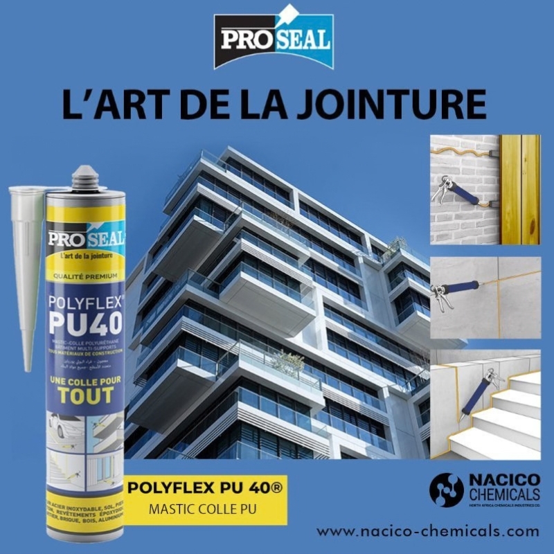 Silicone colle POLYFLEX PU40 Noir 310 ml – Image 3