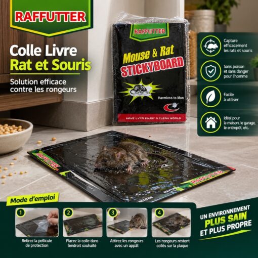 Colle Livre Rat et Souris RAFFUTTER
